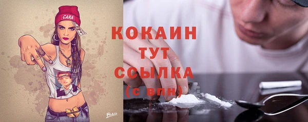 дживик Шарыпово