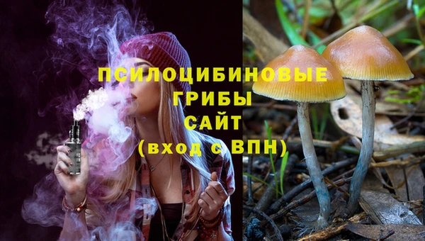 дурь Абинск