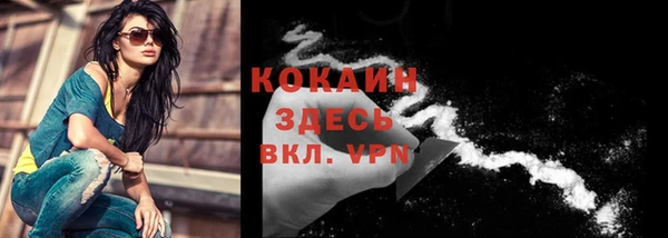 прущие крисы Шали