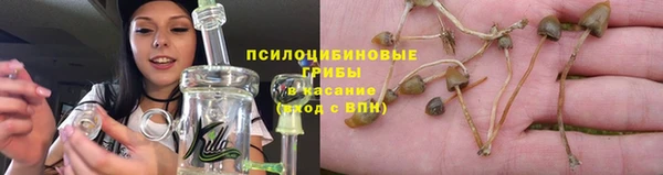 экстази Шадринск