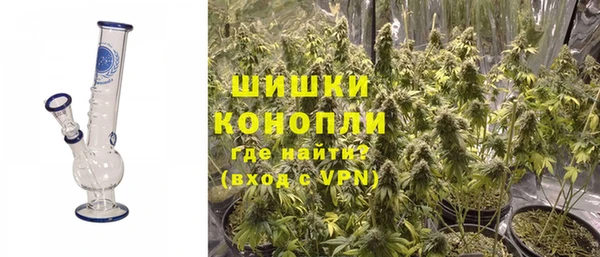 дживик Шарыпово