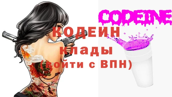 дживик Шарыпово