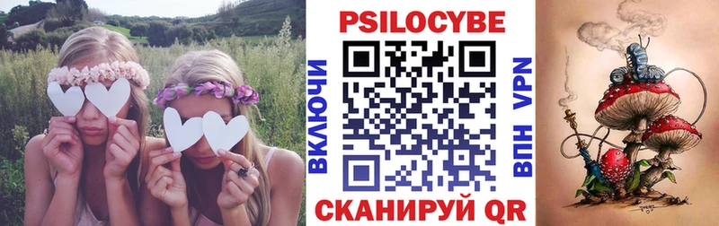 Галлюциногенные грибы Psilocybe  ссылка на мегу сайт  Белоусово 
